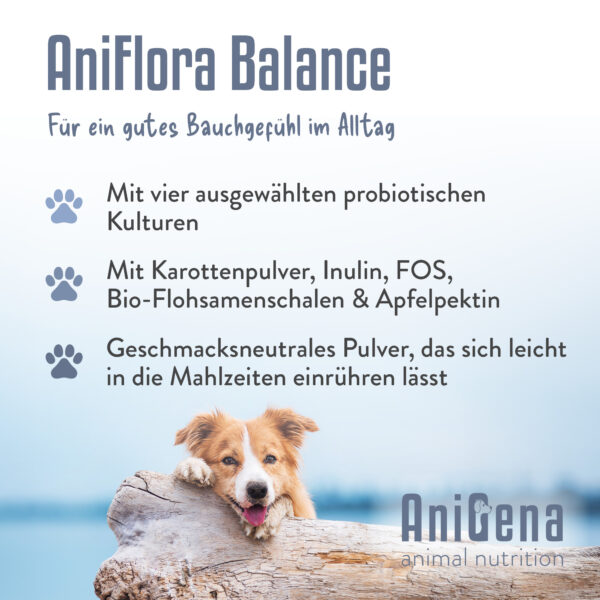 AniFlora Balance mit probiotischen Kulturen, Inulin, FOS und Flohsamenschalen zur Unterstützung des Bauchgefühls im Alltag