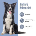 AniFlora Balance mit Hundemotiv – zuckerfrei, konservierungsstofffrei und farbstofffrei